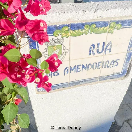 Casa Blue Azul Guest house